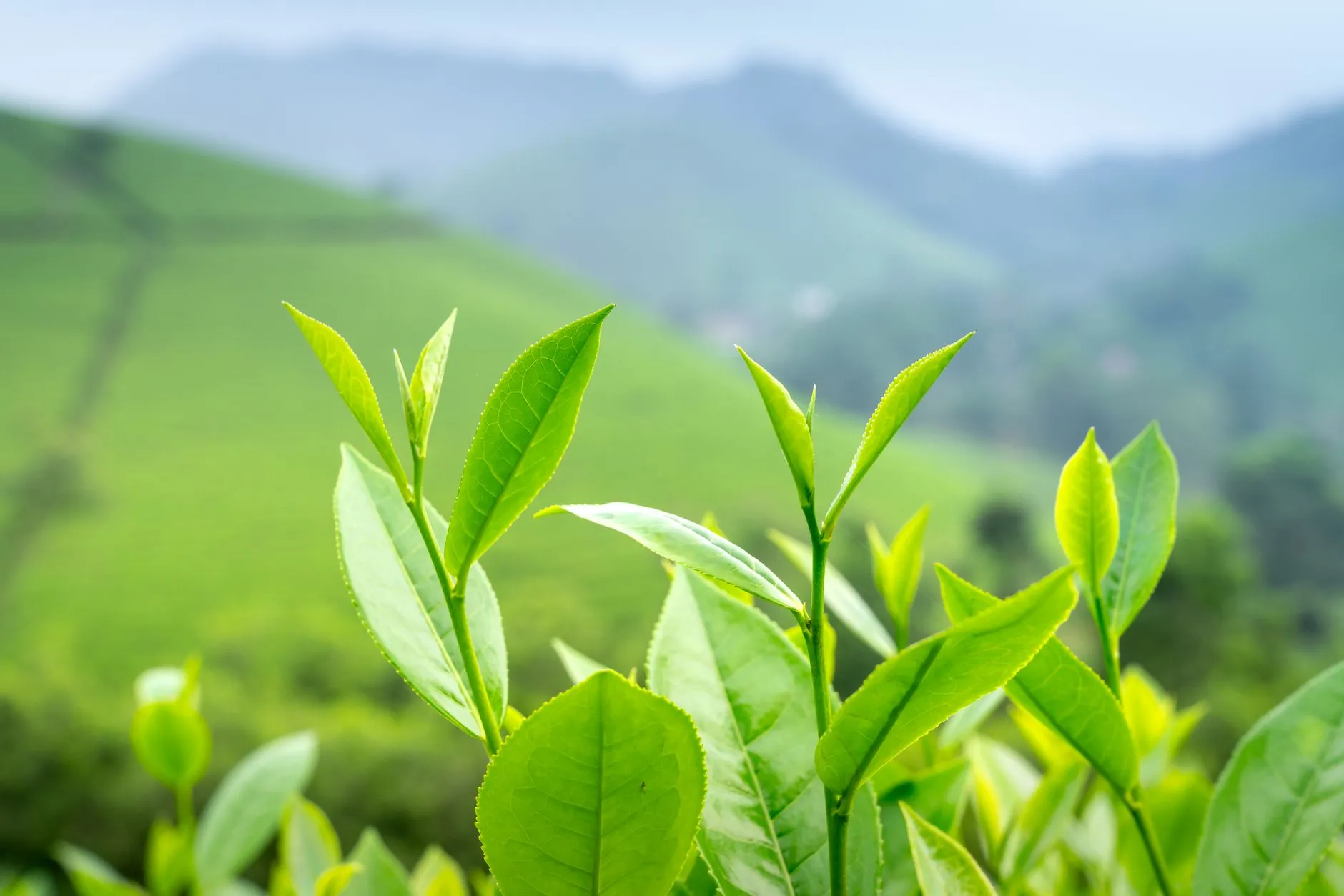 车载线束行业新规解读：对线材耐温与抗干扰性能的新要求